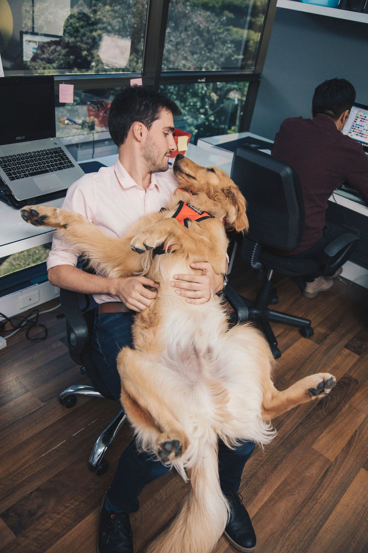 Mann am Schreibtisch mit einem Golden Retriever auf dem Schoß